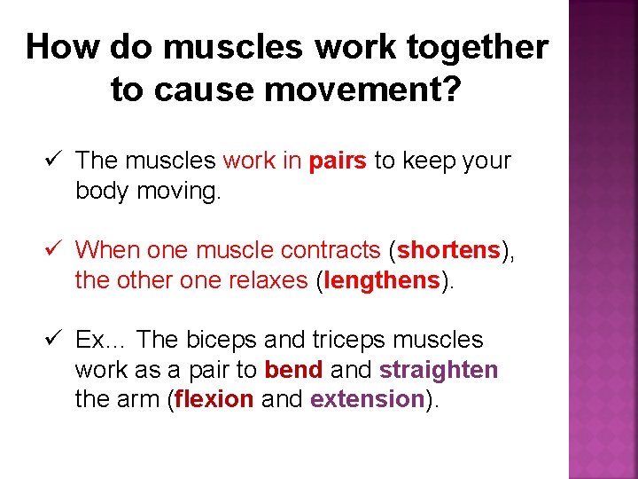 How do muscles work together to cause movement? ü The muscles work in pairs