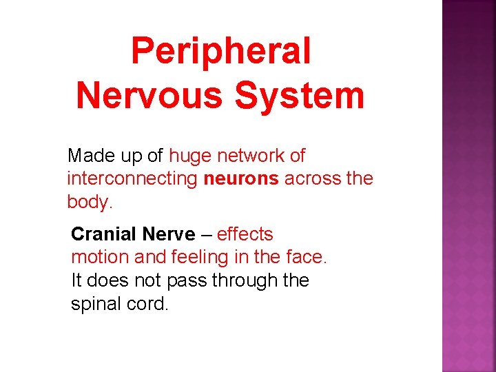 Peripheral Nervous System Made up of huge network of interconnecting neurons across the body.