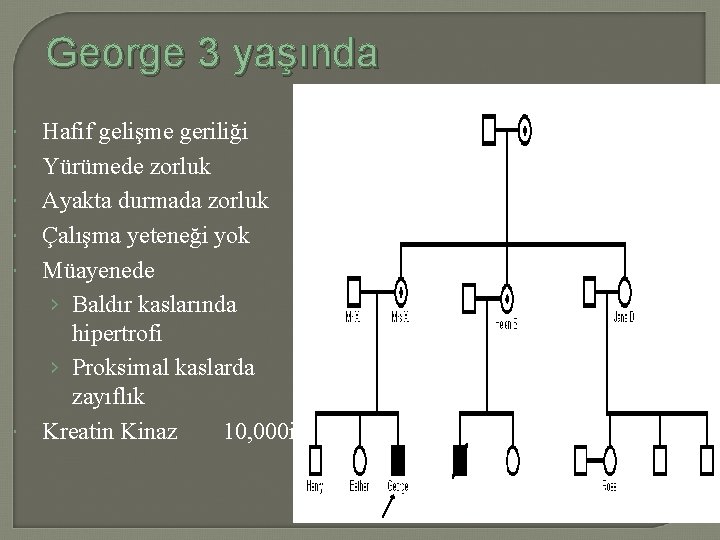 George 3 yaşında Hafif gelişme geriliği Yürümede zorluk Ayakta durmada zorluk Çalışma yeteneği yok