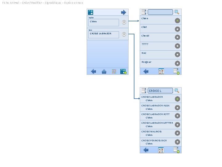 Fiche Animal – Créer/Modifier – Signalétique – Espèce et race Espèce Chien Chat Race