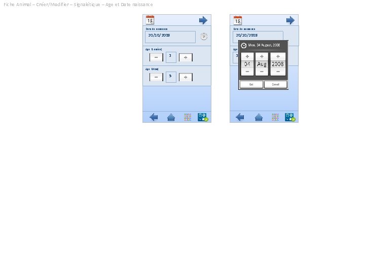 Fiche Animal – Créer/Modifier – Signalétique – Age et Date naissance Date de naissance
