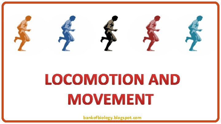 LOCOMOTION AND MOVEMENT bankofbiology. blogspot. com 
