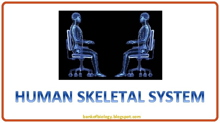 bankofbiology. blogspot. com 