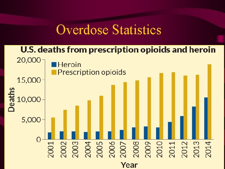 Overdose Statistics 