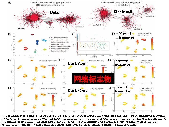 Single cell Bulk Network biomarker Dark Gene Network biomarker 网络标志物 Dark Gene Network biomarker