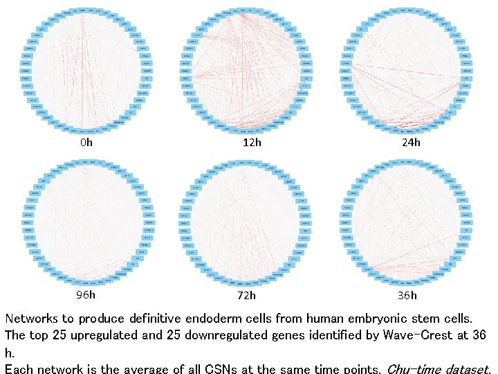 0 h 96 h 12 h 72 h 24 h 36 h Networks to
