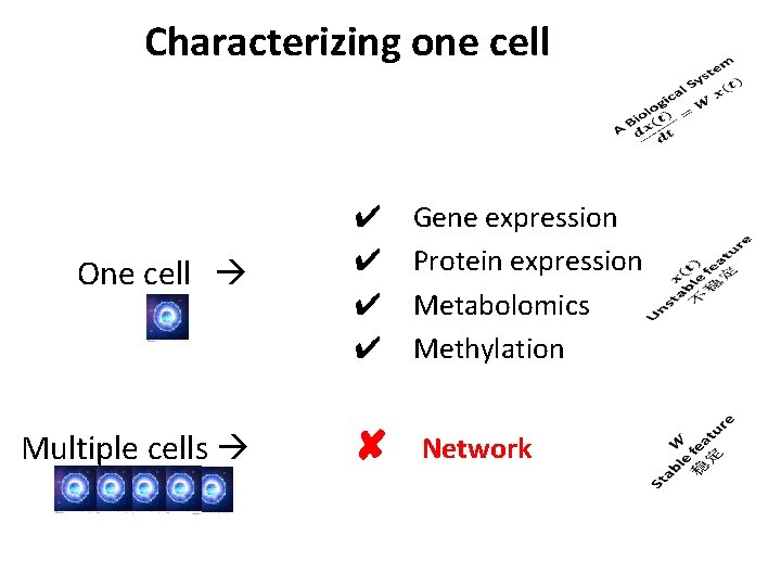 Characterizing one cell One cell ✔ ✔ Gene expression Protein expression Metabolomics Methylation Multiple
