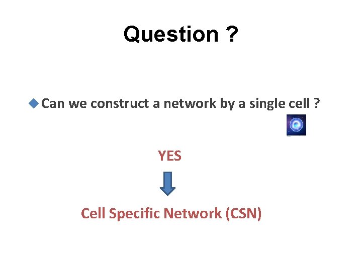 Question ? Can we construct a network by a single cell ? YES Cell