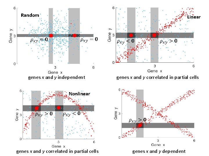 Random Linear genes x and y independent genes x and y correlated in partial