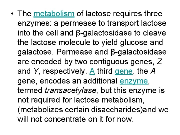  • The metabolism of lactose requires three enzymes: a permease to transport lactose