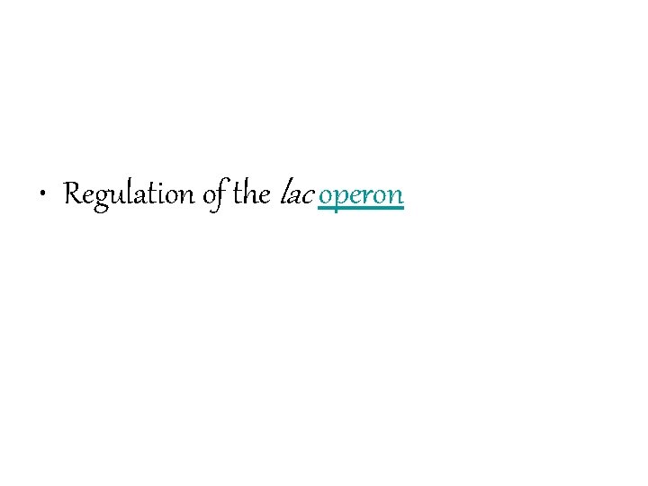  • Regulation of the lac operon 