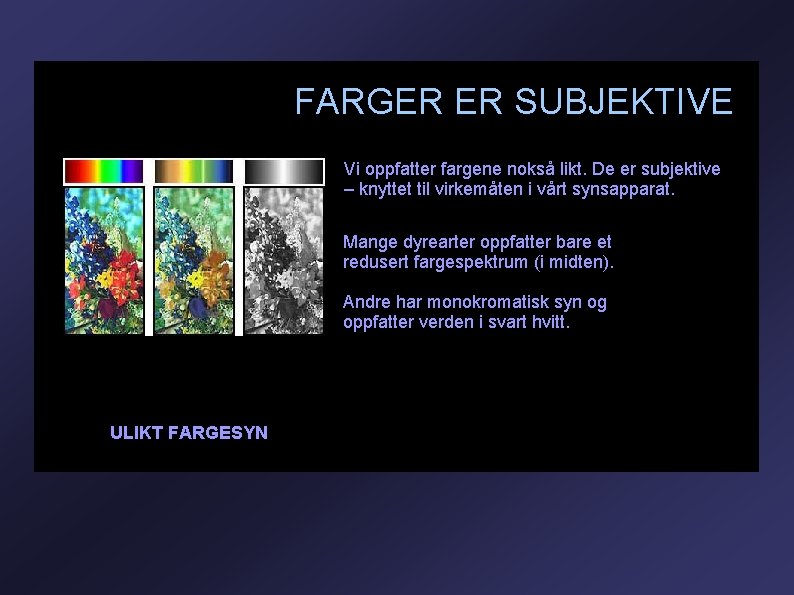 FARGER ER SUBJEKTIVE Vi oppfatter fargene nokså likt. De er subjektive – knyttet til