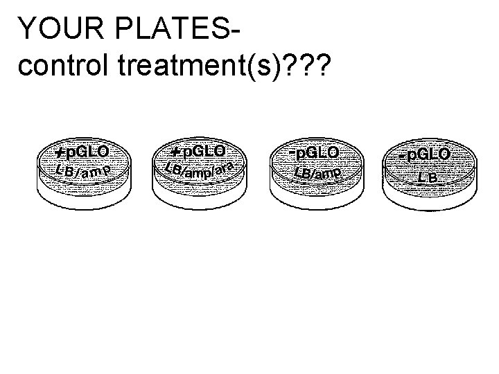 YOUR PLATEScontrol treatment(s)? ? ? 