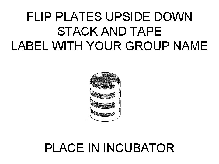 FLIP PLATES UPSIDE DOWN STACK AND TAPE LABEL WITH YOUR GROUP NAME PLACE IN