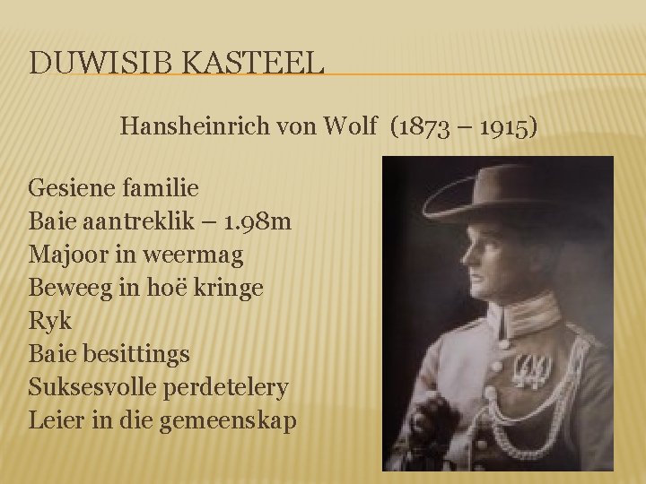 DUWISIB KASTEEL Hansheinrich von Wolf (1873 – 1915) Gesiene familie Baie aantreklik – 1.