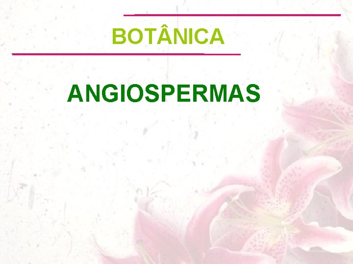 BOT NICA ANGIOSPERMAS 