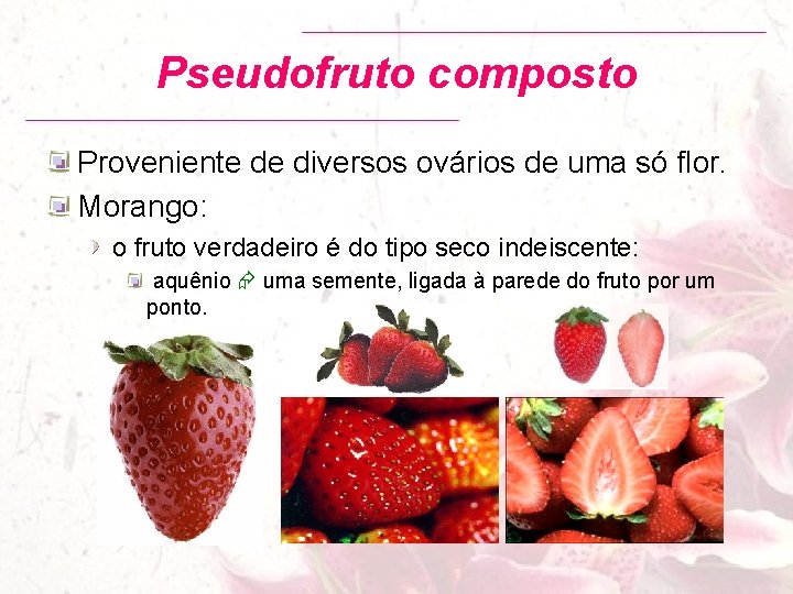 Pseudofruto composto Proveniente de diversos ovários de uma só flor. Morango: o fruto verdadeiro