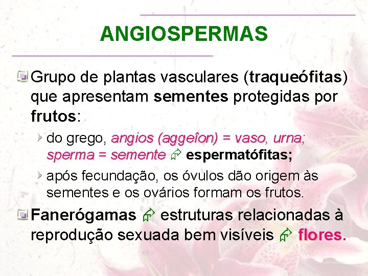 ANGIOSPERMAS Grupo de plantas vasculares (traqueófitas) que apresentam sementes protegidas por frutos: do grego,