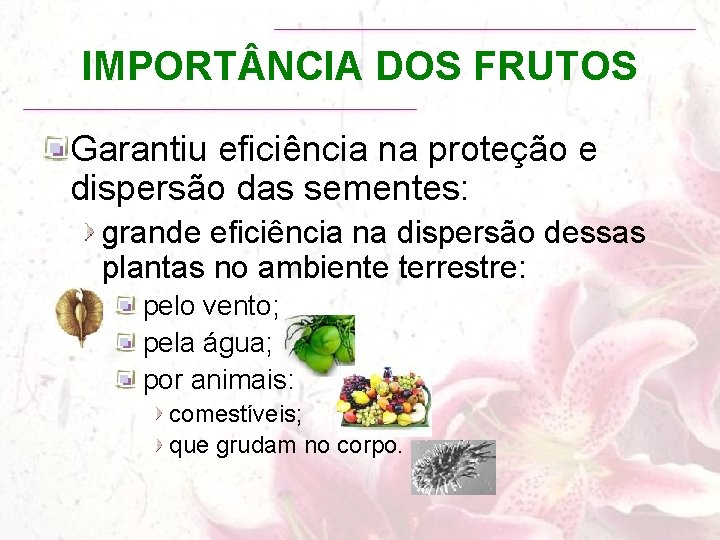 IMPORT NCIA DOS FRUTOS Garantiu eficiência na proteção e dispersão das sementes: grande eficiência