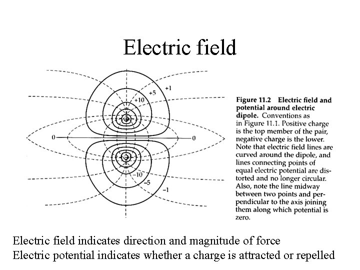 Electric field indicates direction and magnitude of force Electric potential indicates whether a charge