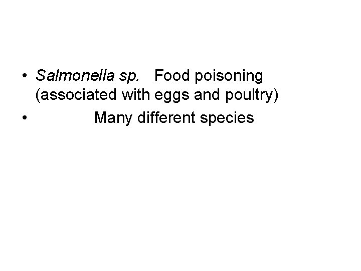  • Salmonella sp. Food poisoning (associated with eggs and poultry) • Many different