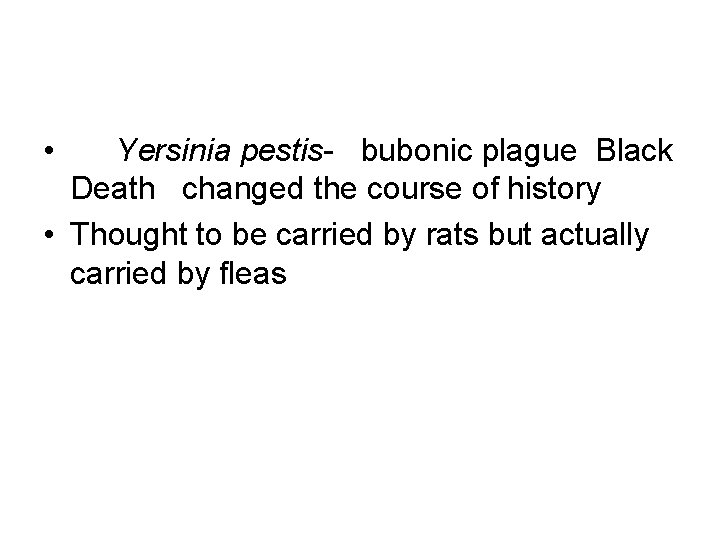  • Yersinia pestis- bubonic plague Black Death changed the course of history •