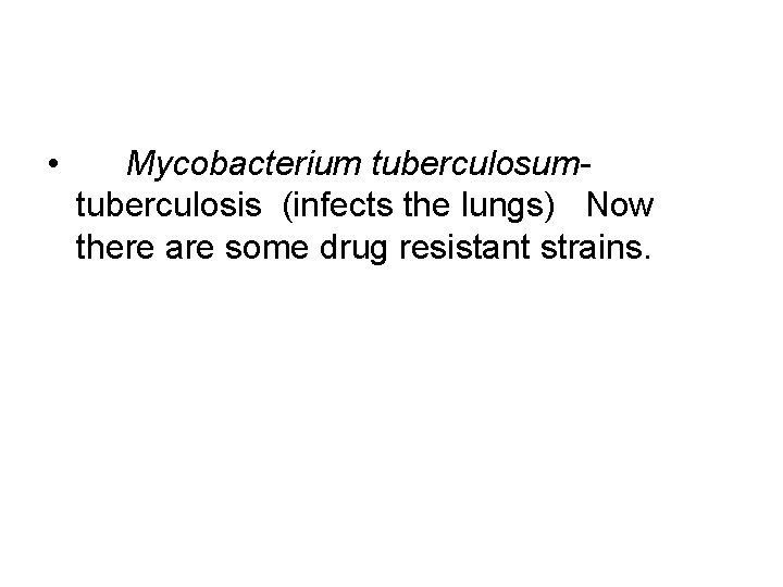  • Mycobacterium tuberculosumtuberculosis (infects the lungs) Now there are some drug resistant strains.