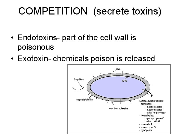 COMPETITION (secrete toxins) • Endotoxins- part of the cell wall is poisonous • Exotoxin-