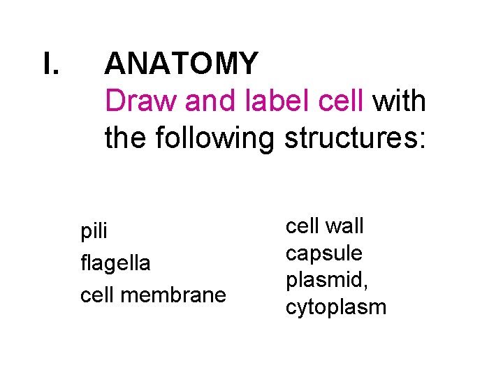 I. ANATOMY Draw and label cell with the following structures: pili flagella cell membrane