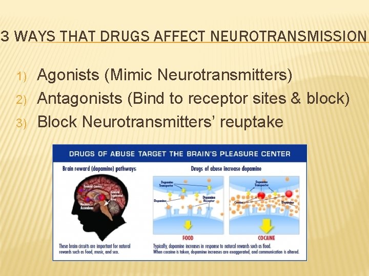 3 WAYS THAT DRUGS AFFECT NEUROTRANSMISSION 1) 2) 3) Agonists (Mimic Neurotransmitters) Antagonists (Bind