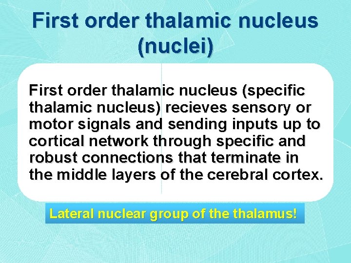 First order thalamic nucleus (nuclei) First order thalamic nucleus (specific thalamic nucleus) recieves sensory