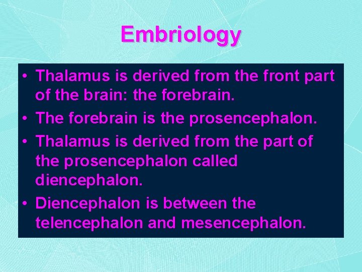 Embriology • Thalamus is derived from the front part of the brain: the forebrain.