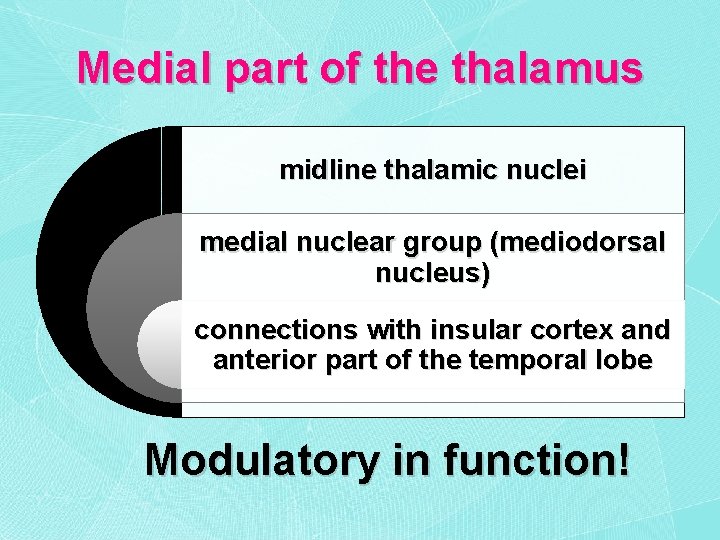 Medial part of the thalamus midline thalamic nuclei medial nuclear group (mediodorsal nucleus) connections