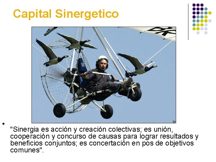 Capital Sinergetico l "Sinergia es acción y creación colectivas; es unión, cooperación y concurso