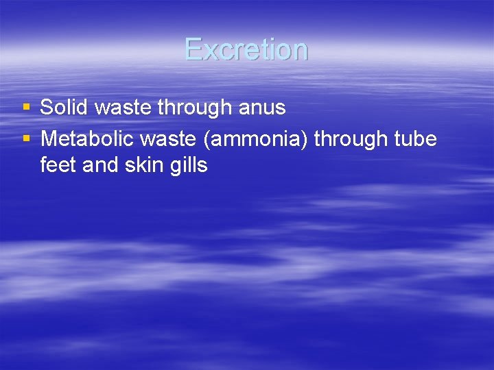 Excretion § Solid waste through anus § Metabolic waste (ammonia) through tube feet and Excretion § Solid waste through anus § Metabolic waste (ammonia) through tube feet and