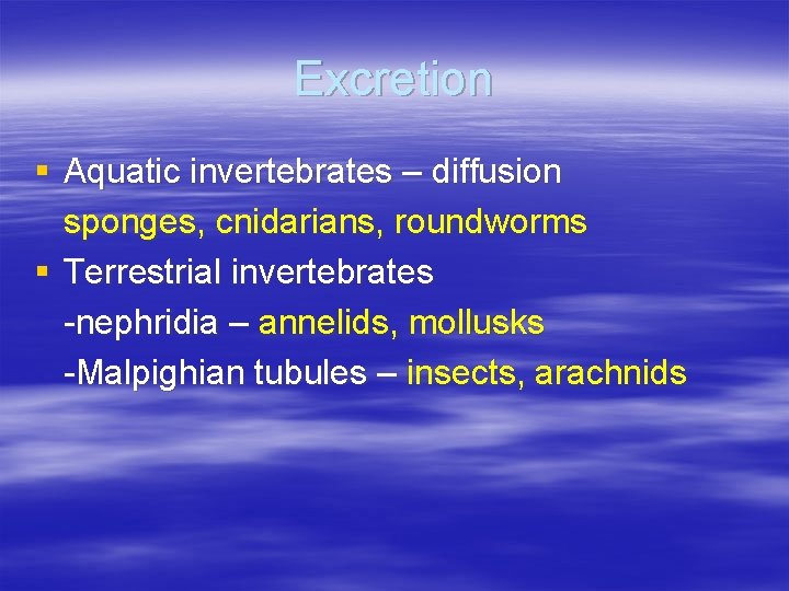 Excretion § Aquatic invertebrates – diffusion sponges, cnidarians, roundworms § Terrestrial invertebrates -nephridia – Excretion § Aquatic invertebrates – diffusion sponges, cnidarians, roundworms § Terrestrial invertebrates -nephridia –