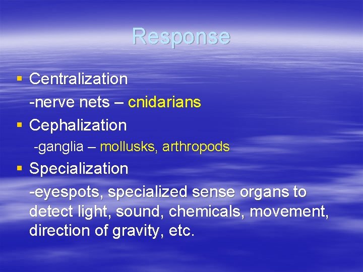 Response § Centralization -nerve nets – cnidarians § Cephalization -ganglia – mollusks, arthropods § Response § Centralization -nerve nets – cnidarians § Cephalization -ganglia – mollusks, arthropods §