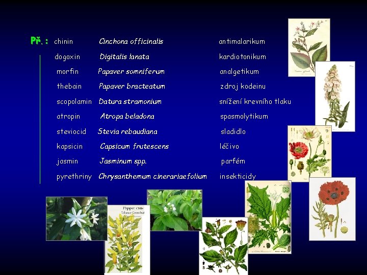 Př. : chinin Cinchona officinalis antimalarikum dogoxin Digitalis lanata kardiotonikum morfin Papaver somniferum analgetikum