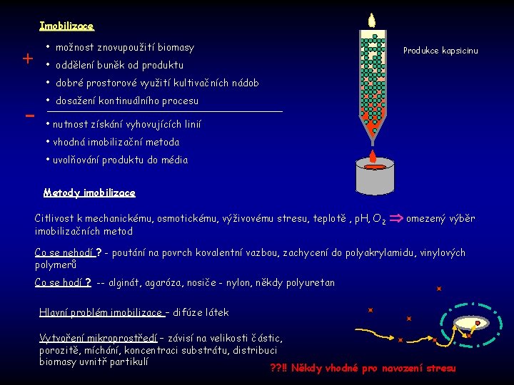 Imobilizace + • možnost znovupoužití biomasy Produkce kapsicinu • oddělení buněk od produktu •