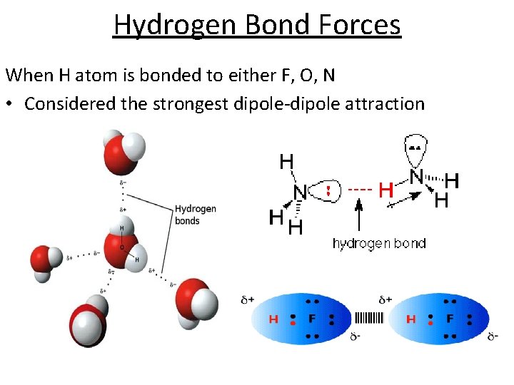 Hydrogen Bond Forces When H atom is bonded to either F, O, N •