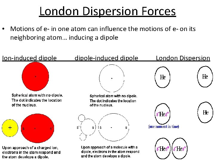 London Dispersion Forces • Motions of e- in one atom can influence the motions