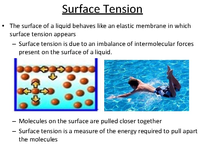 Surface Tension • The surface of a liquid behaves like an elastic membrane in
