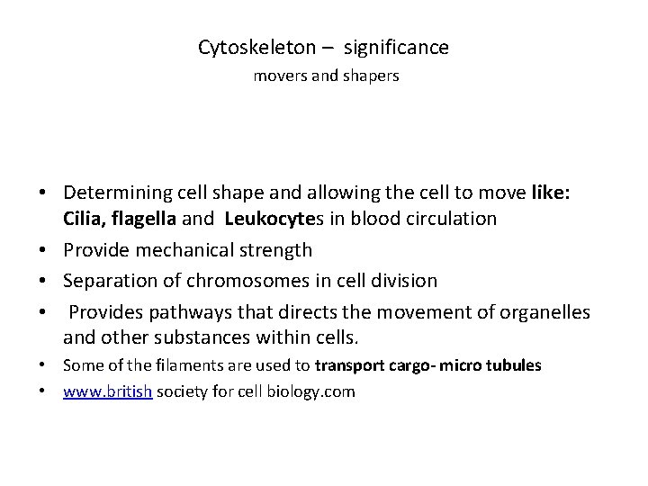Cytoskeleton – significance movers and shapers • Determining cell shape and allowing the cell