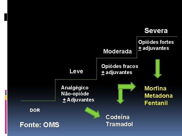 Severa Moderada Leve Opiódes fracos + adjuvantes Analgégico Não-opióde + Adjuvantes Morfina Metadona Fentanil