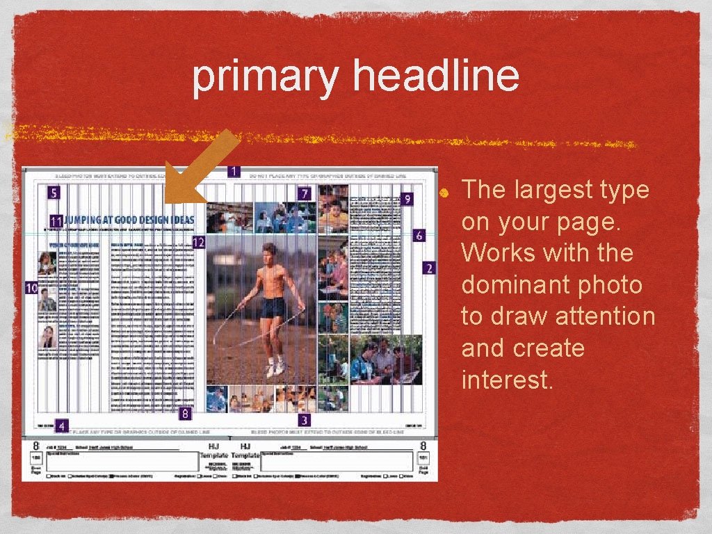 primary headline The largest type on your page. Works with the dominant photo to