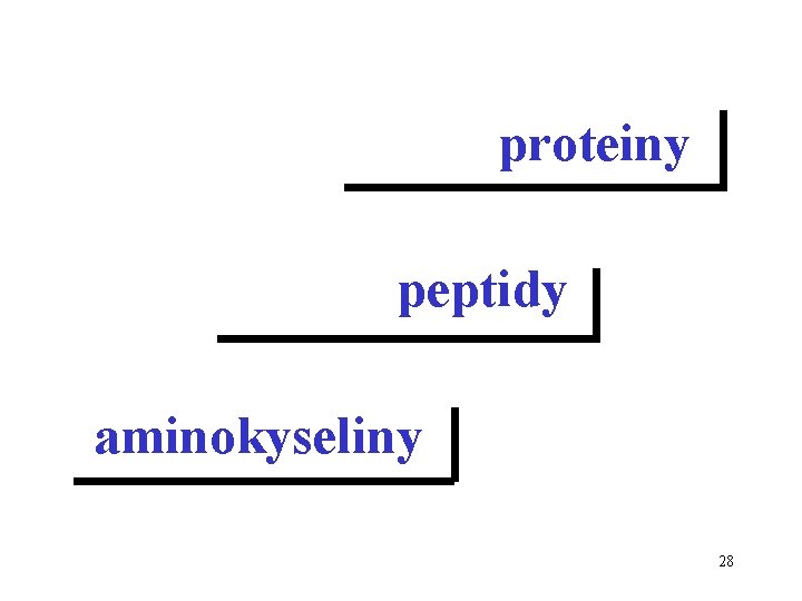 proteiny peptidy aminokyseliny 28 