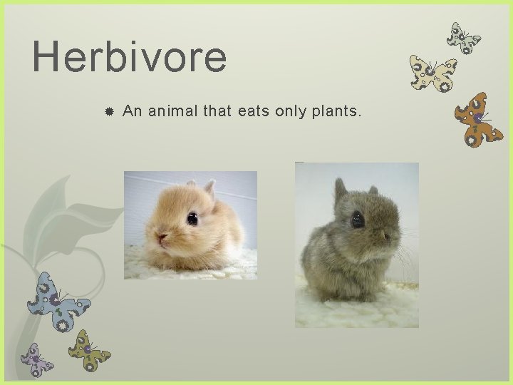 Herbivore An animal that eats only plants.  Herbivore An animal that eats only plants.