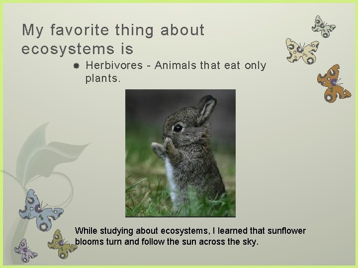 My favorite thing about ecosystems is Herbivores - Animals that eat only plants. While My favorite thing about ecosystems is Herbivores - Animals that eat only plants. While