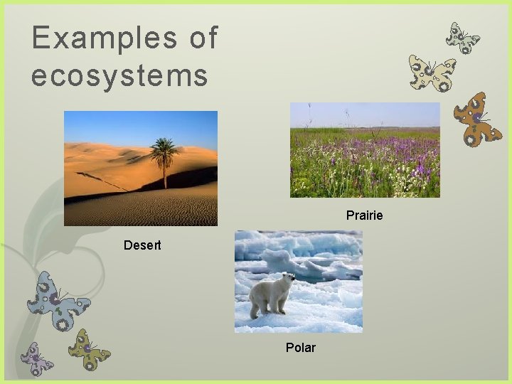 Examples of ecosystems Prairie Desert Polar  Examples of ecosystems Prairie Desert Polar