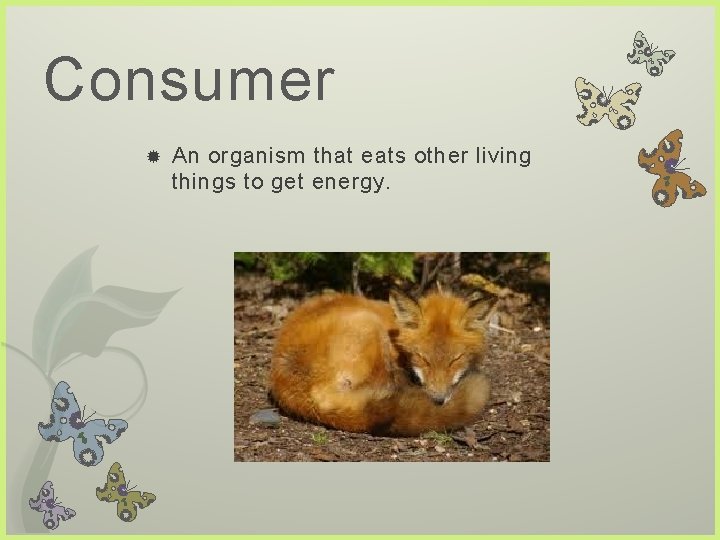 Consumer An organism that eats other living things to get energy.  Consumer An organism that eats other living things to get energy.